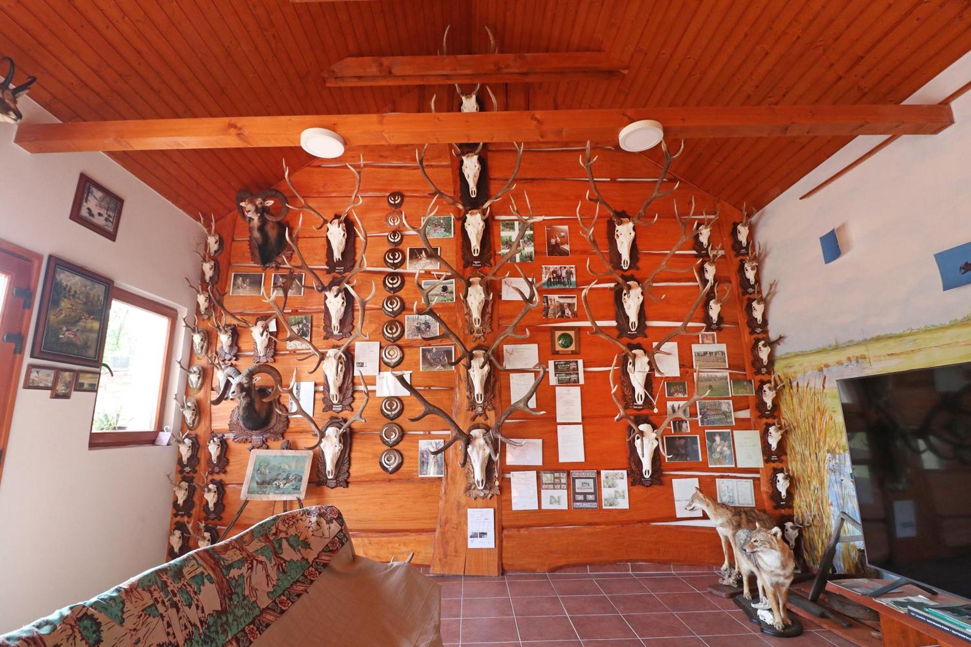 Hotel Fuezesi Papa Vendeghaza Harta Exterior foto