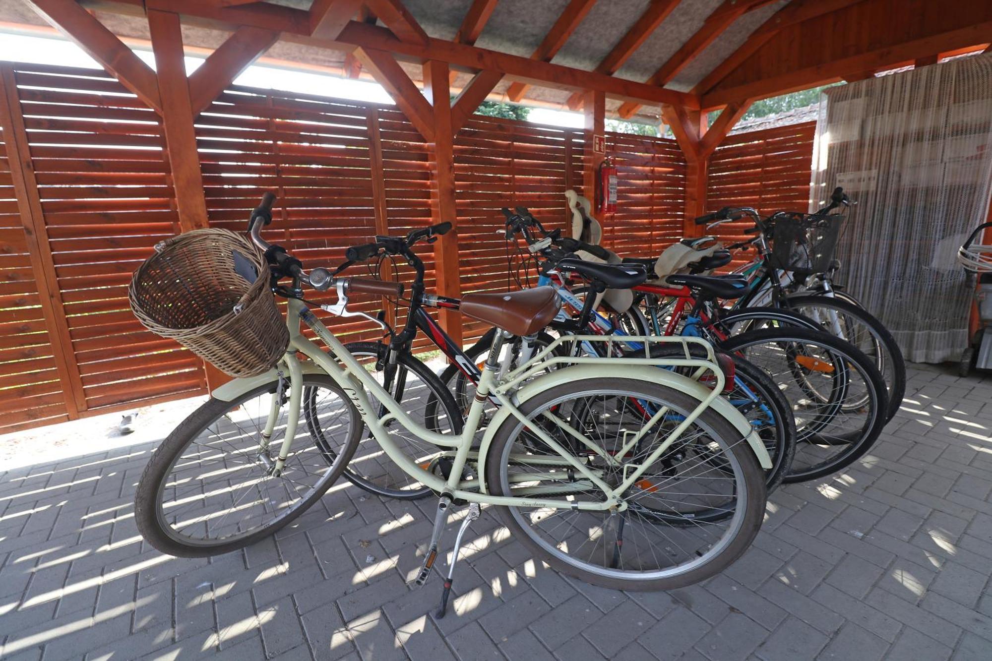Hotel Fuezesi Papa Vendeghaza Harta Exterior foto