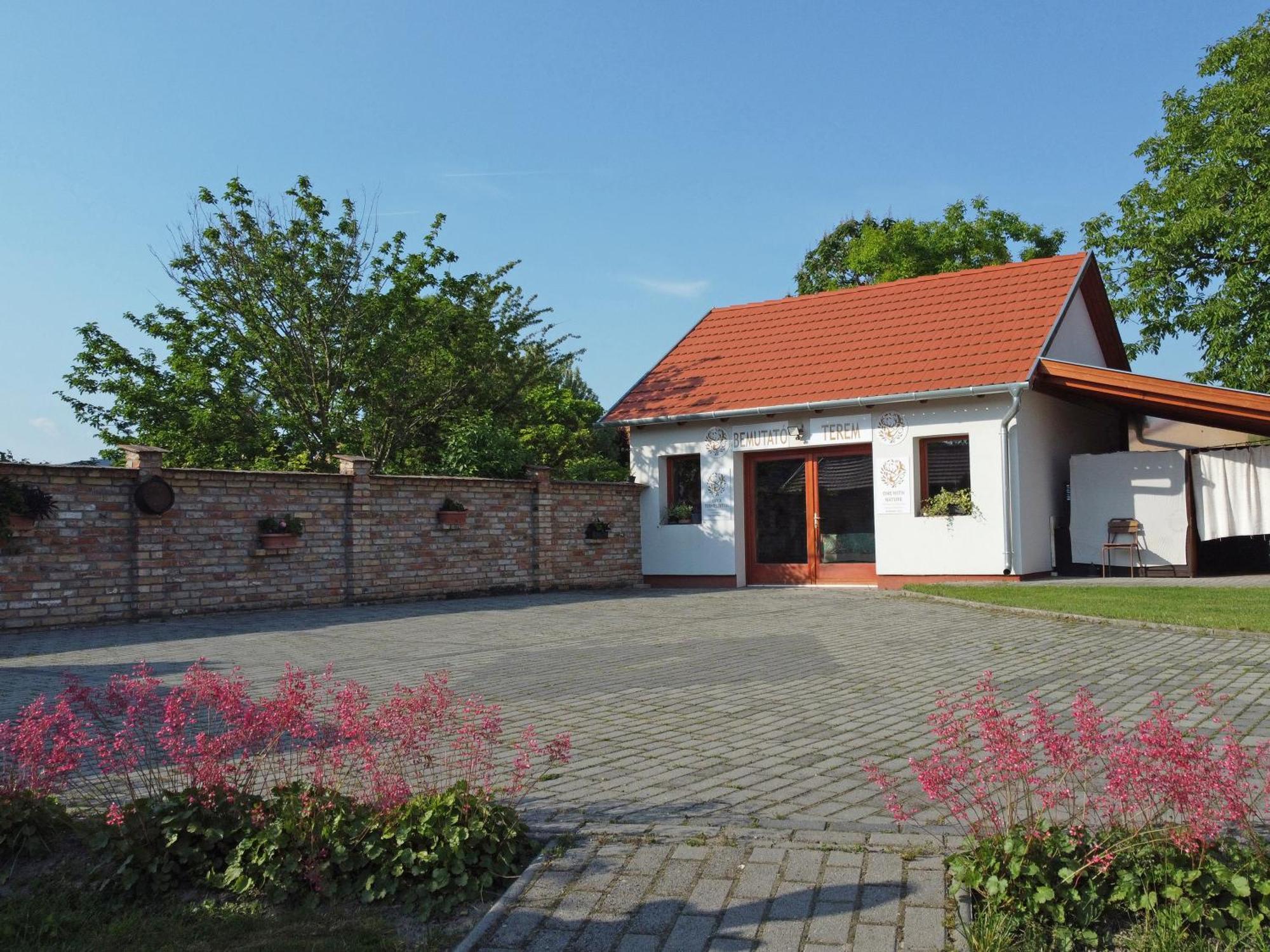 Hotel Fuezesi Papa Vendeghaza Harta Exterior foto